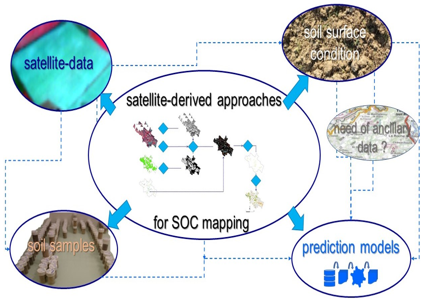 RemoteSens_MDPI's tweet image. 📃📃👉 #Satellite Imagery to Map #Topsoil Organic #Carbon Content over #Cultivated Areas: An Overview

✍️ Emmanuelle Vaudour et al.
🔗 mdpi.com/2072-4292/14/1…