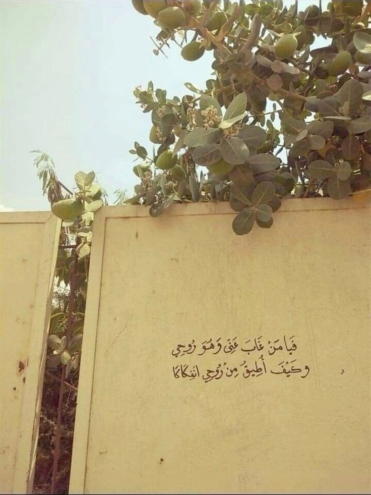 Rthaa1M's tweet photo. https://t.co/mdI5yrkWYH