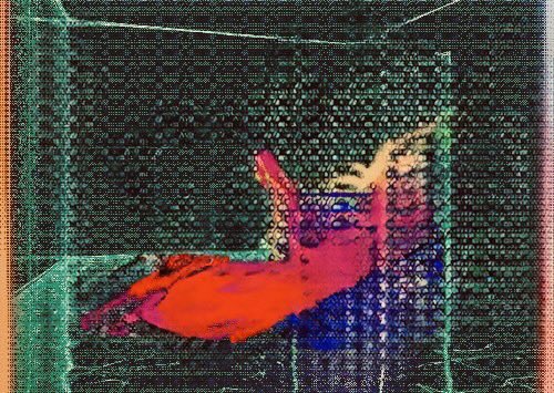𝚓𝚌𝚋 tweet media