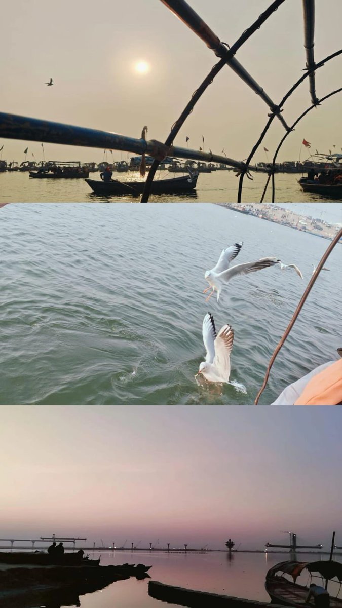 ankku55's tweet photo. Lost in the serenity of Ganga 🕊
#Prayagraj https://t.co/0ViFQFyHlq