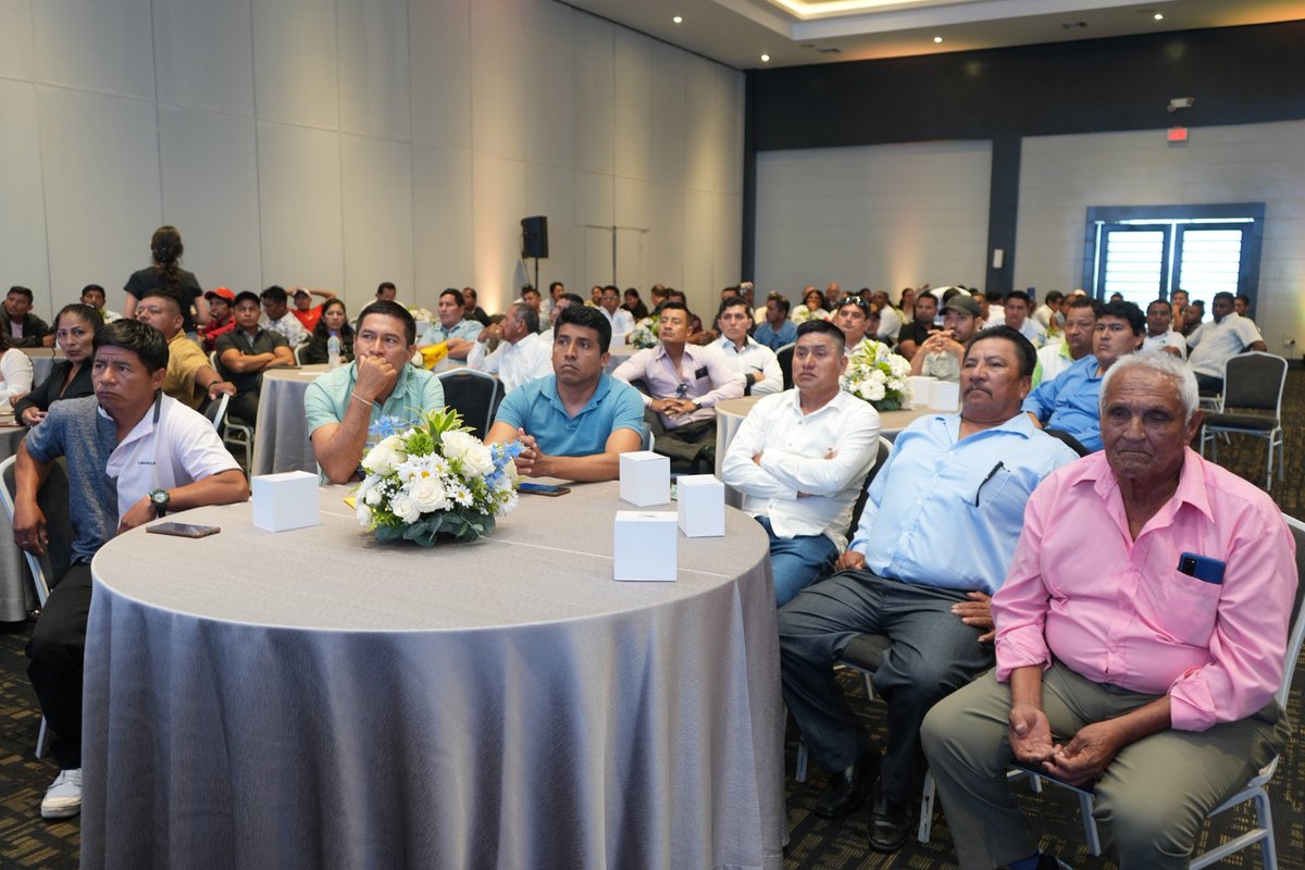 EcuadorMAE's tweet photo. 🎉🌱 ¡25 años trabajando por la conservación de los manglares! 🌱🎉

📍Guayaquil I La viceministra @MCRecalde_Ec participó en la conmemoración por los 25 años de los Acuerdos de Uso y Custodia del Manglar, una iniciativa enfocada a la conservación de los ecosistemas costeros. https://t.co/Y17WLNNY5H