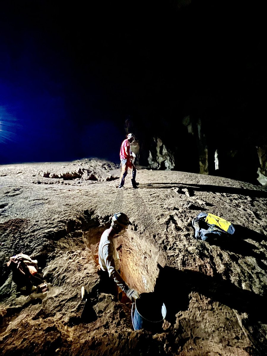 Laurent Bruxelles tweet media