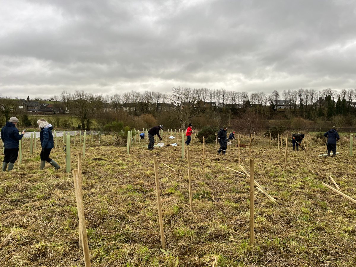 Last week we kicked off planting season with a volunteer event at Great Broughton along the River Derwent! 🌳 We planted 0.2 Ha of wildlife habitat along the riverbank, letting nature take its course without tree tubes - thanks to all the volunteers!  #TreePlanting #RiverDerwent