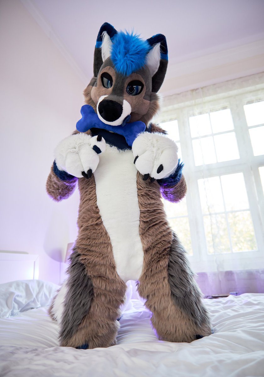Sliver 🔜 EF (@sliverwusky) on Twitter photo Are you feeling brave enough to take my plush bone away from me? 😜
📸: @mfurphotography
✂️: <a href="/FursuitParade/">Fursuit Parade</a>
#furry #fursuit #WuskyWednesday Are you feeling brave enough to take my plush bone away from me? 😜
📸: @mfurphotography
✂️: <a href="/FursuitParade/">Fursuit Parade</a>
#furry #fursuit #WuskyWednesday