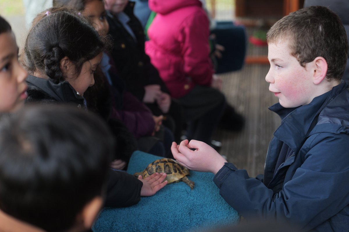 StStephensLancs's tweet photo. Such a treat to have Emily's Mini Farm in our school environmental area earlier this week! Our Early Years children loved meeting the animals! 🐇🐢

Thank you so much to Mr Pratt and our KS2 helpers! 
#sssscience https://t.co/xt9q1twK9D