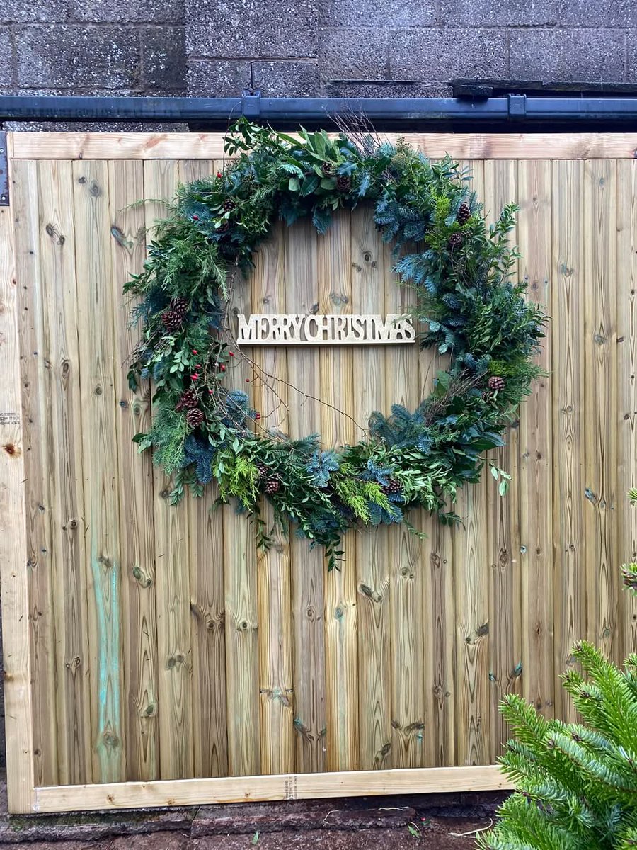 We would like to say a HUGE thank you to Starkey Farm, Northop for donating a lovely Christmas tree to our school🎄 the children love walking past it on their way in to school🥰 the farm is lovely to visit and pick up a tree or wreath! <a href="/SychdynSchool/">Ysgol Sychdyn</a>