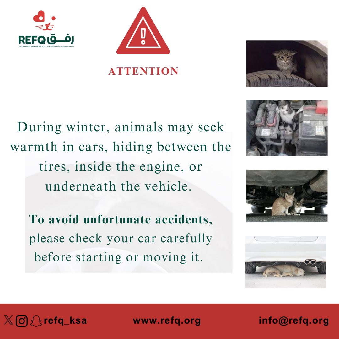 تنبيه | Attention ❗️