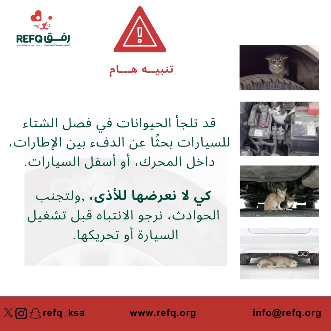 الجمعية السعودية للرفق بالحيوان #رفق tweet media