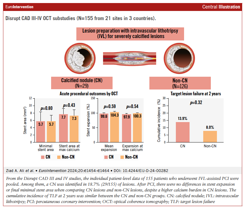 EuroInterventio's tweet image. Coronary intravascular lithotripsy (IVL) from the Disrupt CAD studies: IVL demonstrates safety &amp;amp; efficacy in tackling calcified nodules, with comparable stent expansion &amp;amp; outcomes for calcified &amp;amp; non-calcified lesions. Learn more 👉 ow.ly/2L7w50UjurK