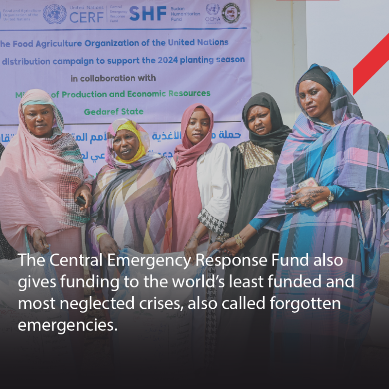 CanadaDev's tweet photo. Canada supports humanitarian partners through the Central Emergency Response Fund along with other tools used to respond to humanitarian emergencies.  

Swipe to learn more.  @UNCERF
#InvestInHumanity #HumanitarianAid #HumanitarianAssistance #EmergencyResponse