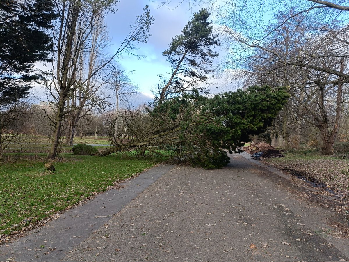 I've made Parks &amp; the tree maintenance people within the council  aware of the fallen tree across the path in Sefton Park so it can be dealt with. There's obviously a list of stuff after the storms &amp; more dangerous things elsewhere in the city will get done first
<a href="/ILoveSeftonPark/">The Friends of Sefton Park</a>