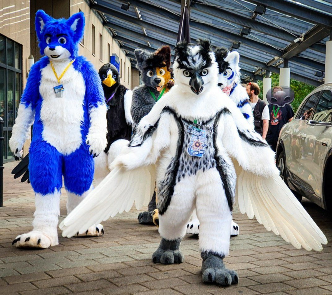 Whitewing Creations tweet media