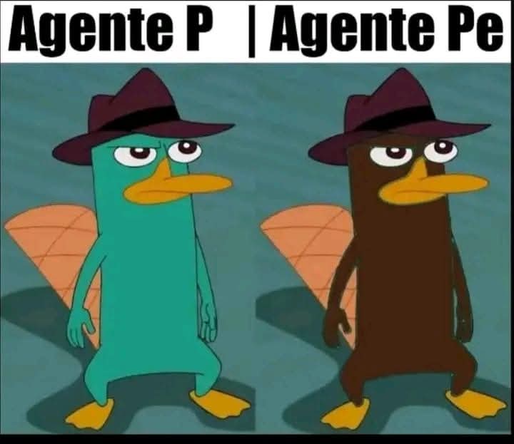 El Cóndor (@condorpana) on Twitter photo 