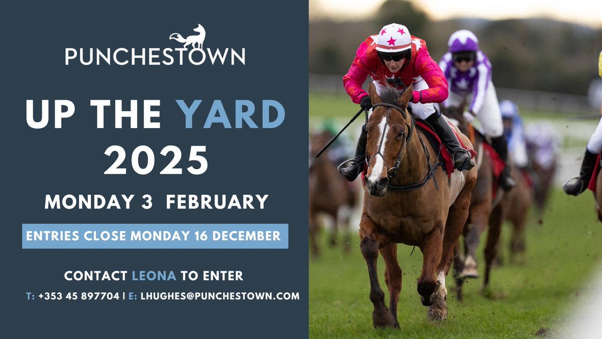punchestownrace's tweet photo. ๐Up The Yard 2025๐
๐Get your entries in for #UTY25 before Mon 16 Dec
๐Pop an email to lhughes@punchestown.com #UpTheYard #StudStaff #Stablestaff https://t.co/igfKsYeIau
