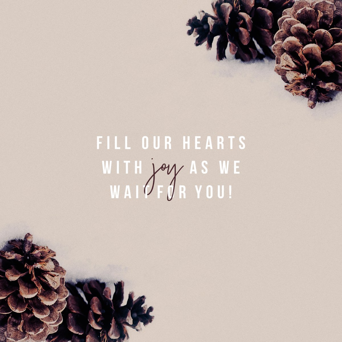 WellspringFUMC's tweet photo. https://t.co/10u6xIs7rZ