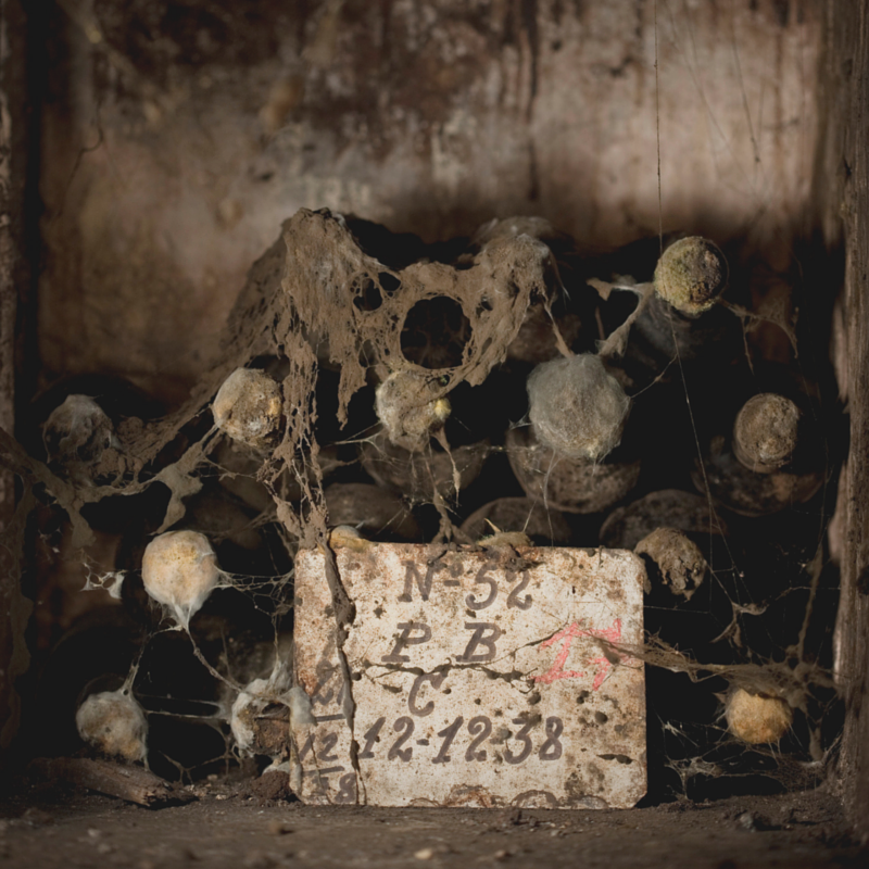 🍷 There's no better place for a wine to age than in the Cockburn’s Lodge, so rest assured that any Cockburn's Vintage Port you buy will have spent at least some time back at ours. 👀 Fancy taking a look in person? Visit cockburns.com/visit-us and plan your visit.