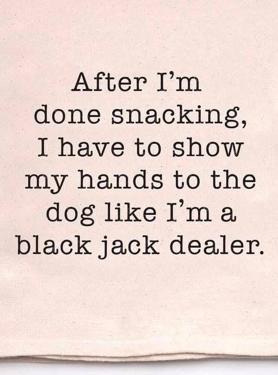 Heckin Good Dogs (@heckingooddogs) on Twitter photo 