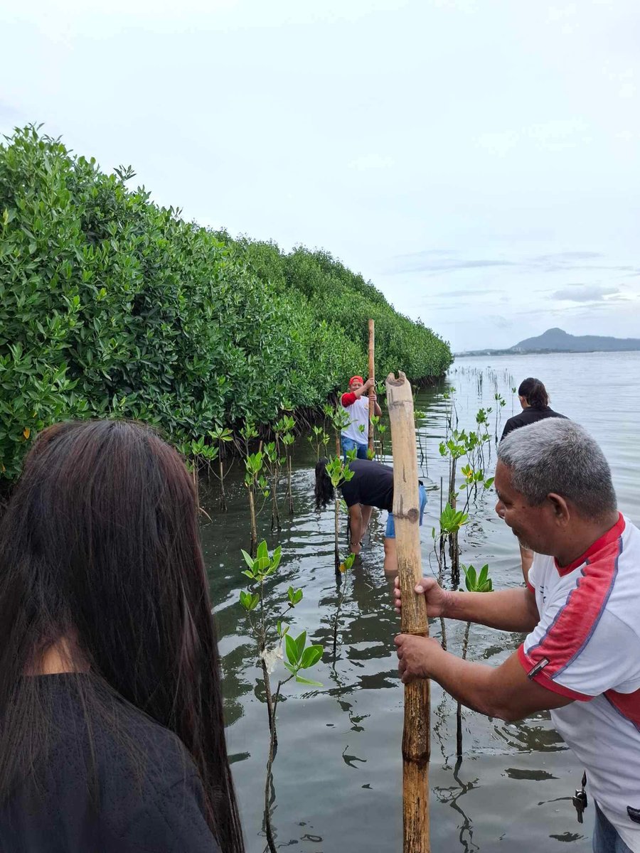 As part of our 13th Anniversary, we have continued our yearly tradition of planting trees - our way of giving back to our Mother Earth. 🌳

500 seedlings have been planted in Tacloban last Sunday, December 8, 2024! So to everyone who helped us make this possible, thank you. 🙏