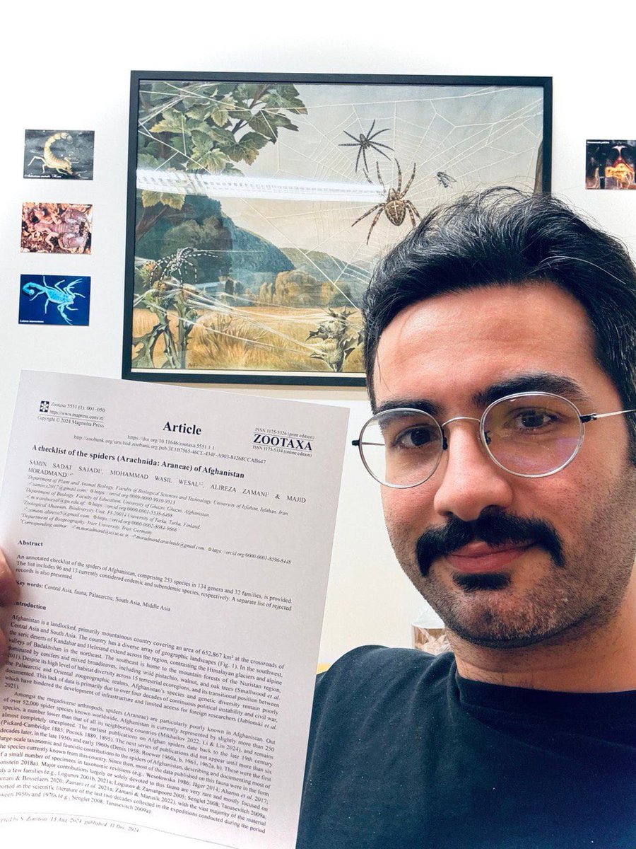 Alireza Zamani tweet media