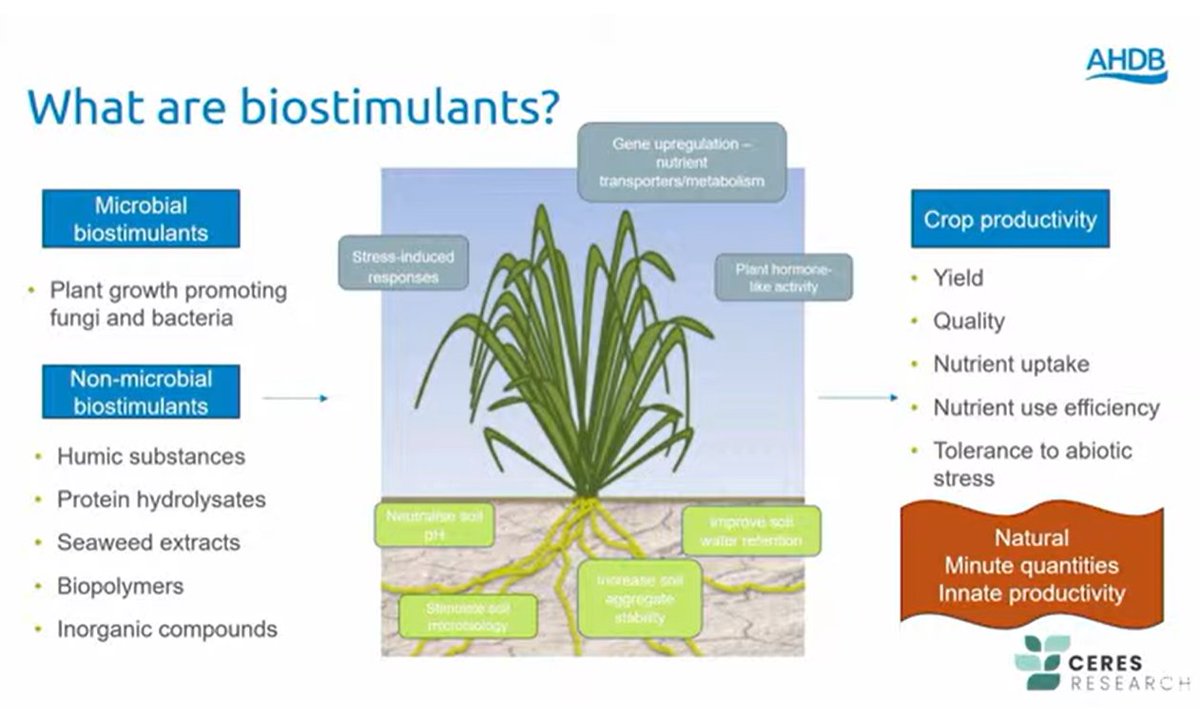 DrLauraJames's tweet image. 🌱@dannielle_roche chatting all things #Biostimulants @AHDB_Cereals Agronomy Conference 2024
📢Catch up now ➡️youtube.com/live/To50ydX16… #Biostims #Fertilser #Nitrogen #Inputs #Ag #Agriculture
