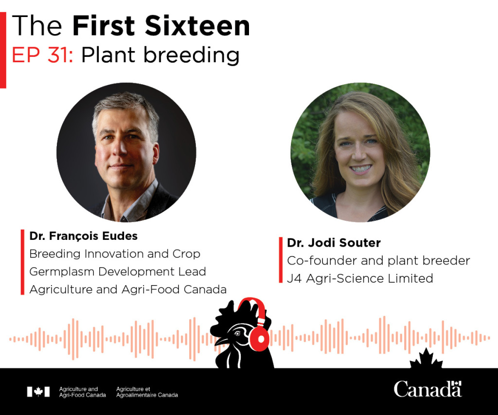AAFC_Canada's tweet photo. New podcast episode! 🎧🐔

How can plant breeders prepare #CdnAg for the future? #TheFirstSixteen sat down with #GCAggie Dr. François Eudes and Dr. Jodi Souter, a #SaskAg farmer and plant breeder, to learn more! https://t.co/2fCEsIr8nL