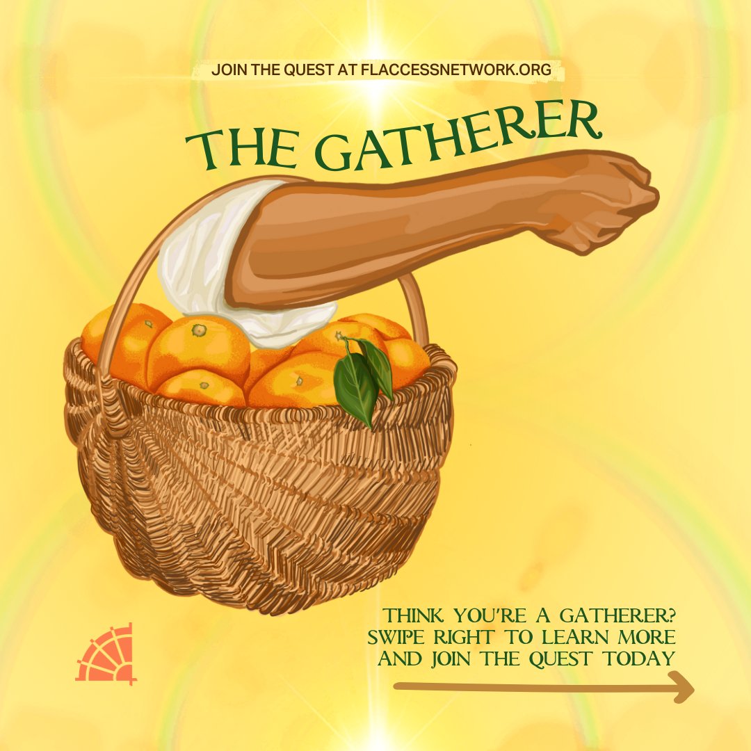 Florida Access Network tweet media