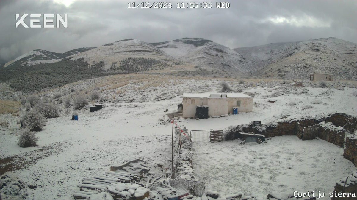 Nieve esta mañana por Sierra de Gador, Almeria, cara norte...

#SierraDeGador #nieve #Almeria #invierno