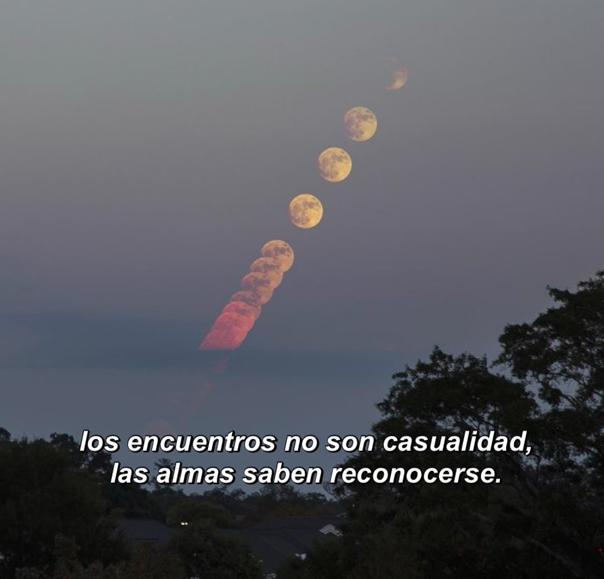 dilocondibujos_'s tweet photo. las almas saben reconocerse https://t.co/JZ42aBU3XX