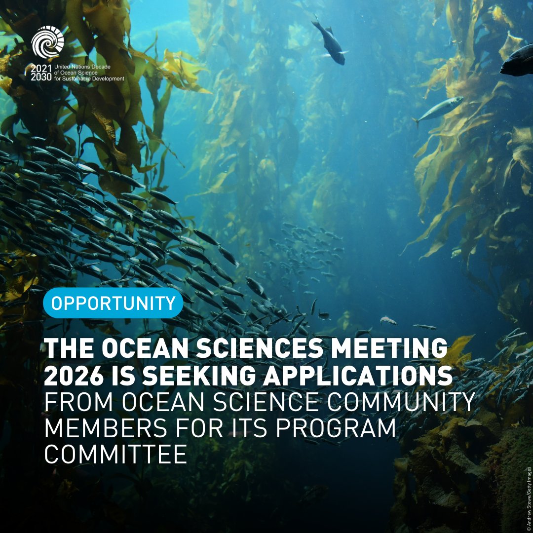 UN Ocean Decade (@unoceandecade) on Twitter photo 📢The Ocean Sciences Meeting, an #OceanDecade Contribution led by <a href="/theAGU/">AGU (American Geophysical Union)</a>, is seeking applications from #OceanScience experts for the program committee of its 2026 edition (22-26 Feb. 2026, Glasgow, Scotland)!
Find more info & apply here by 3 Jan. 2025: ow.ly/5vGW50UnwmV 📢The Ocean Sciences Meeting, an #OceanDecade Contribution led by <a href="/theAGU/">AGU (American Geophysical Union)</a>, is seeking applications from #OceanScience experts for the program committee of its 2026 edition (22-26 Feb. 2026, Glasgow, Scotland)!
Find more info & apply here by 3 Jan. 2025: ow.ly/5vGW50UnwmV