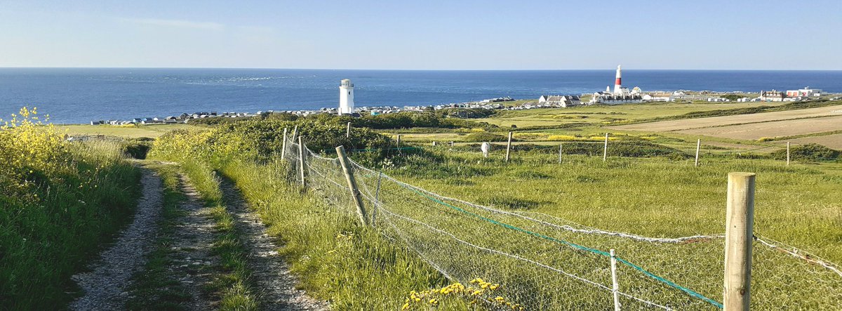 Portland Bill Bird Observatory <a href="/PortlandBirdObs/">Portland Bird Observatory</a> is the venue for our Optics day this Sunday 15th Dec 🎄 <a href="/DorsetBirdClub/">Dorset Bird Club</a>
<a href="/opticronuk/">Opticron</a> <a href="/SwarovskiOptik/">SWAROVSKI OPTIK</a> <a href="/VortexOpticsUK/">Vortex Optics UK</a> <a href="/hawkeoptics/">Hawke Optics</a> <a href="/ZEISSBirding/">ZEISS Birding</a> call Keith on 01225 891352 for further info <a href="/DorsetWildlife/">Dorset Wildlife Trust</a>