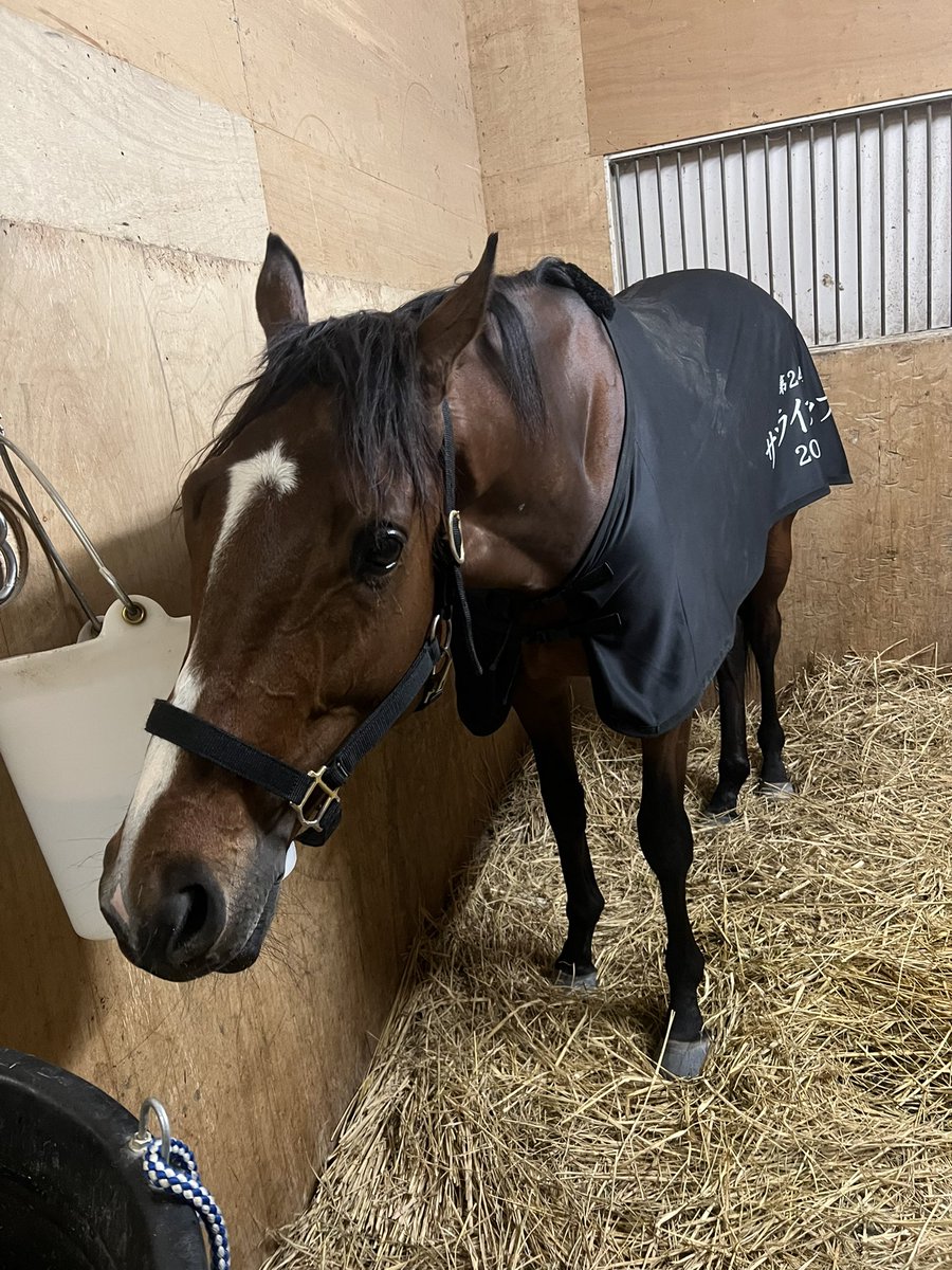 HK_Stable's tweet photo. ソルジャーフィルド

初遠征で3着🥉よく頑張りました！

ほんとに立派な馬です

今後は地元三冠を狙っていきます☝️

今後ともソルジャー並びに川島厩舎の応援よろしくお願いします🙏 https://t.co/UEFf06LVAX