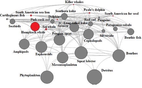 NOVEDADES CIENTÍFICAS

Dra. Daniela Haro de CBL -junto a investigadores de diferentes centros- acaban de publicar estudio sobre el rol ecológico de los mamíferos marinos en el Estrecho de #Magallanes.  Está muy interesante 🤓

✔️Proyecto FONDECYT Postdoctorado N°3210475