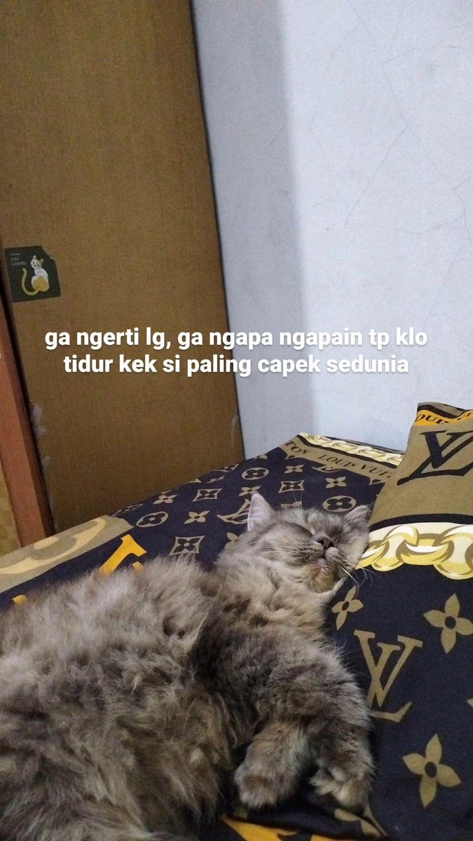 wandane7's tweet photo. @kochengfs keliatan capek banget kan https://t.co/PVXU0qQ17K
