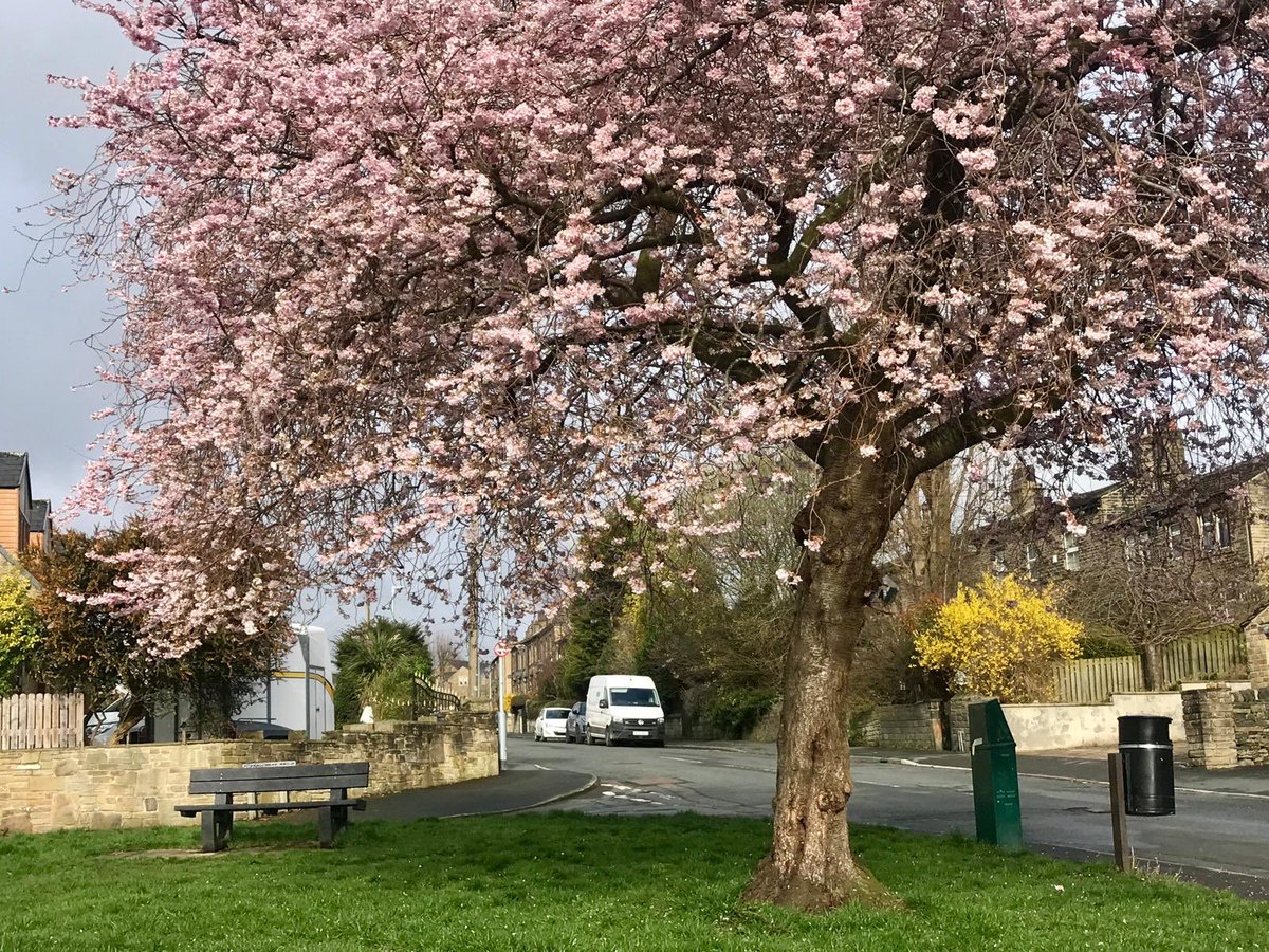 Julie Coldwell tweet media