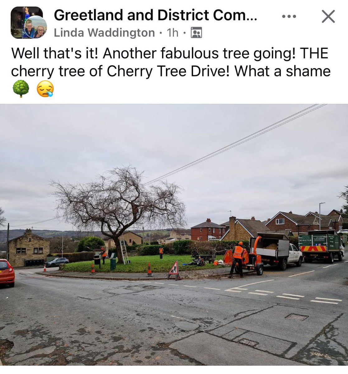 Julie Coldwell tweet media