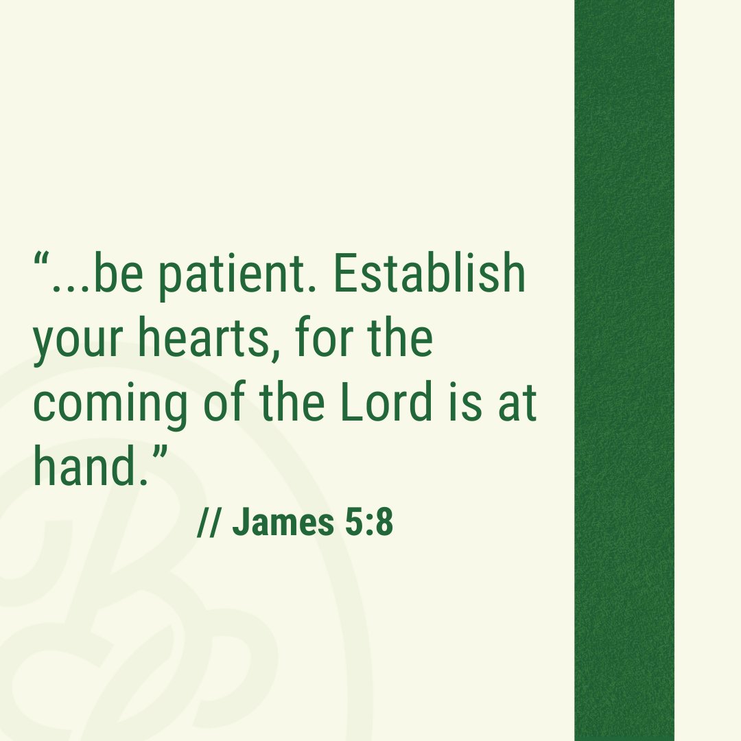Bible Caddie tweet media