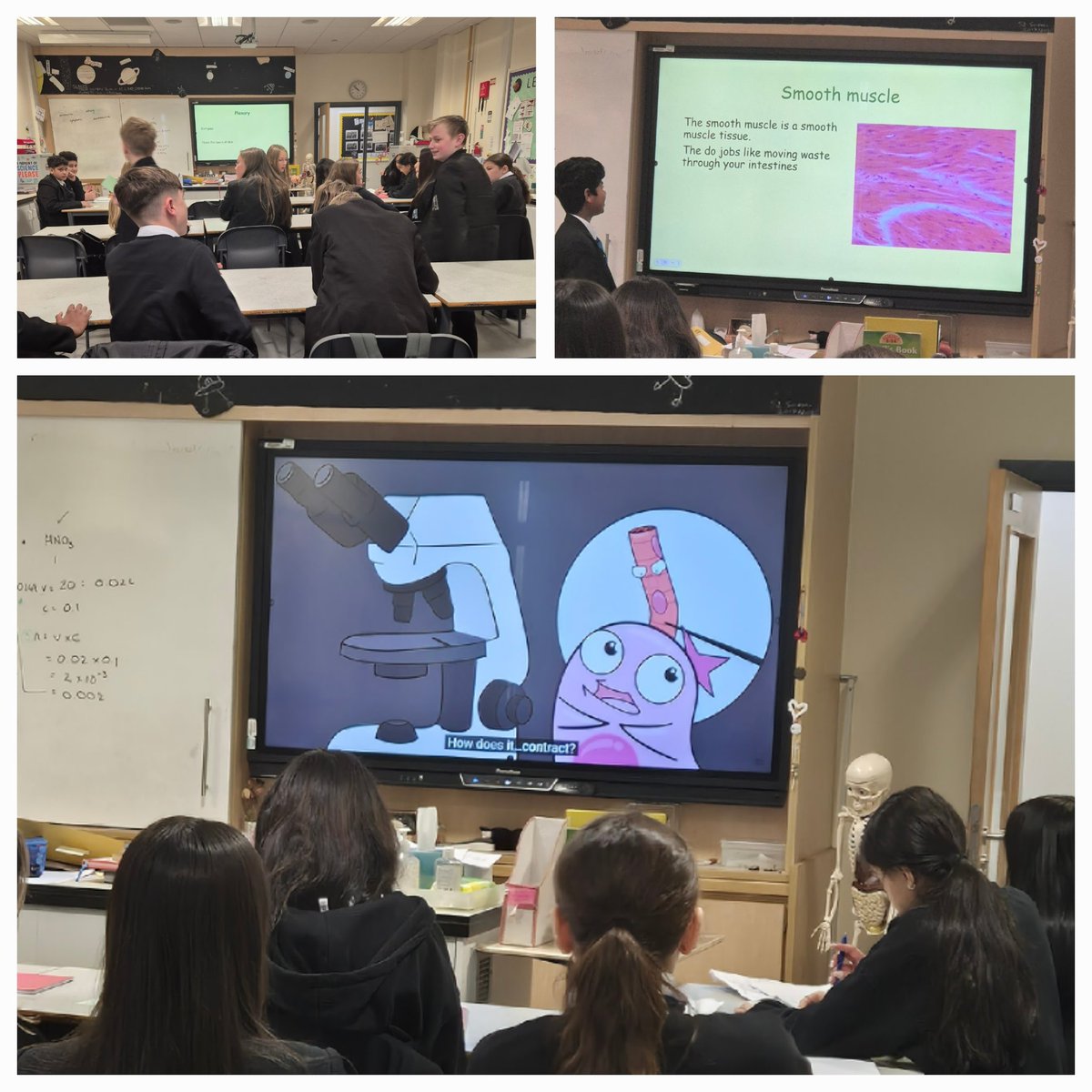 WoodfarmHigh's tweet photo. Mrs Alexander's S2 class developed their curiosity by researching and creating lessons on different body systems. They then presented them to the class making use of a range of experiments, props and digital media. #WHSScience https://t.co/dYWiydst08
