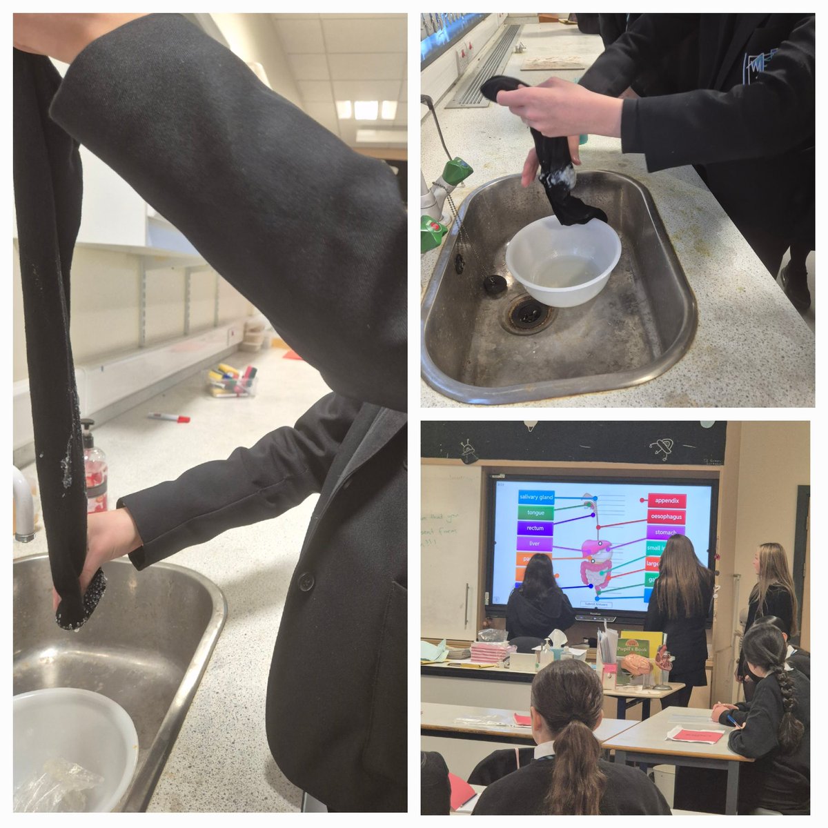 WoodfarmHigh's tweet photo. Mrs Alexander's S2 class developed their curiosity by researching and creating lessons on different body systems. They then presented them to the class making use of a range of experiments, props and digital media. #WHSScience https://t.co/dYWiydst08