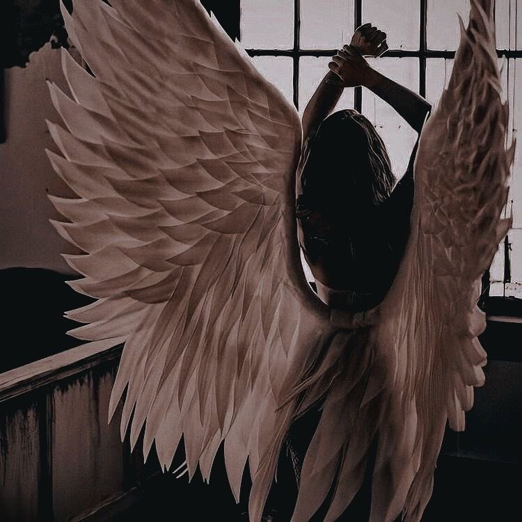 "Good Morning. What a lovely fresh coat of snow we've received. Has anyone seen <a href="/ithinkimadorbs/">𝑫𝒆𝒂𝒏 𝑾𝒊𝒏𝒄𝒉𝒆𝒔𝒕𝒆𝒓 𖤐</a>?"