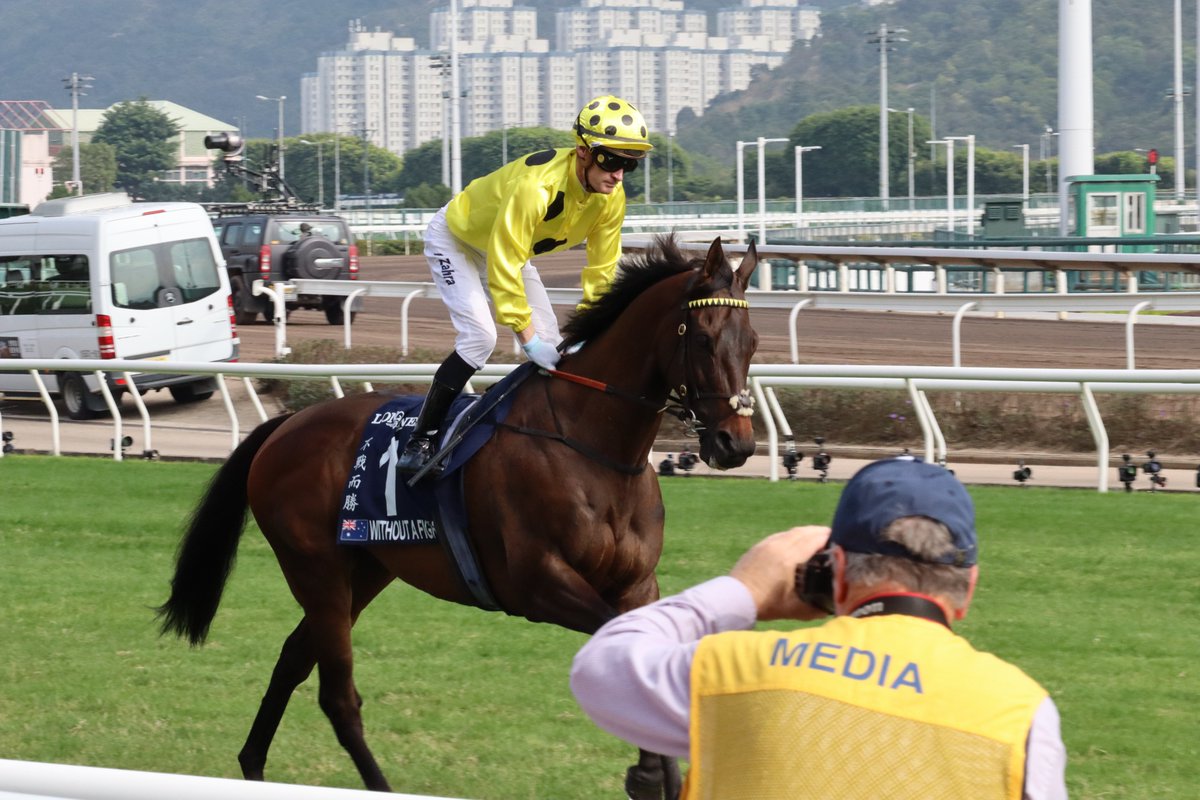 tfashinhikari's tweet photo. Without A Fight
2023 Melbourne Cup Winner

#WithoutAFight
#ウィズアウトアファイト
#香港ヴァーズ https://t.co/uLpnrPRszy