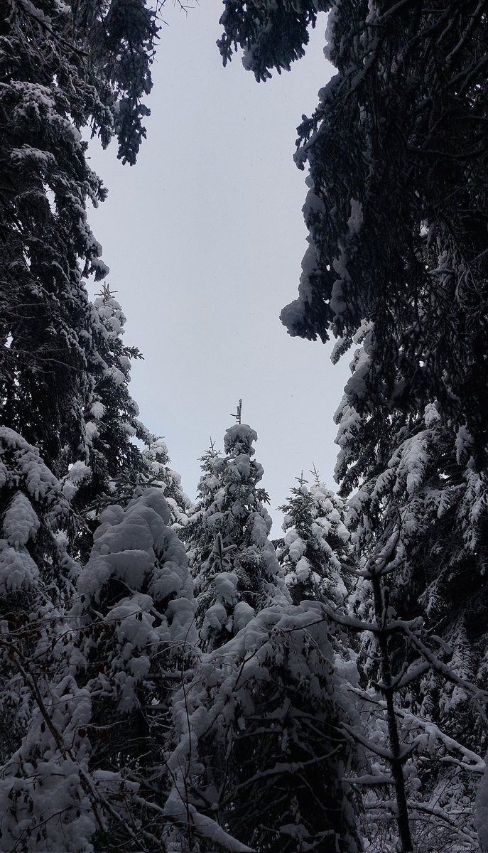 Sancysto's tweet photo. L'hiver est arrivé dans le Sancy https://t.co/mhSch3ftgR