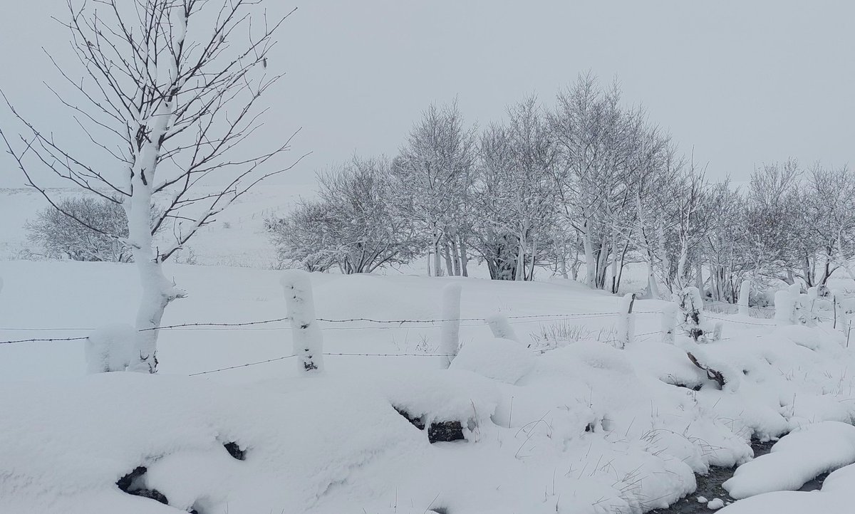 Sancysto's tweet photo. L'hiver est arrivé dans le Sancy https://t.co/mhSch3ftgR