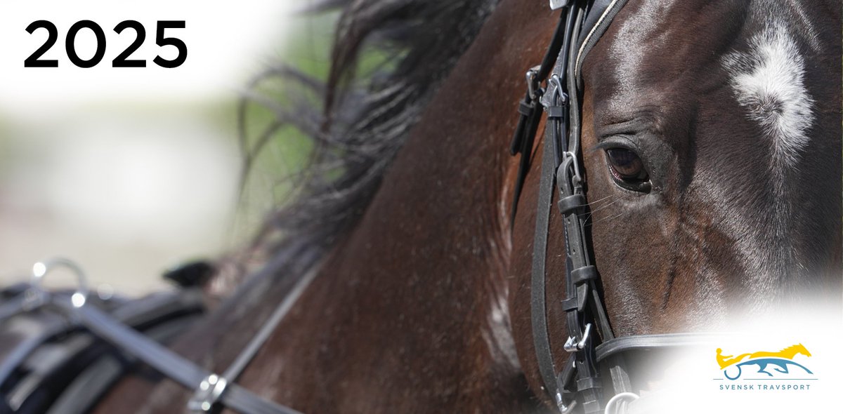 Budget 2025: Högre prispengar i treåringsloppen inom vardagstravet: I treåringsloppen höjs prispengarna ganska mycket nästa år. – Unghästloppen är viktiga för sporten. Det är där hästarna utvecklas inför en kommande tävlingskarriär som äldre, och det är… dlvr.it/TGkDzB