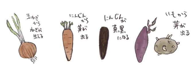 野菜こうなったことある人🤝 