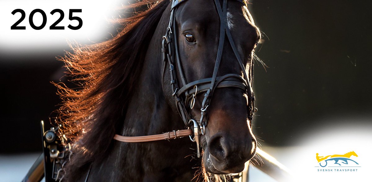 Budget 2025: Offensiv satsning med 100 miljoner mer i pris- och uppfödarmedel: Svensk Travsports styrelse fattade idag beslut om 2025 års budget. Kommande 3 år prioriteras medel till hästägare och uppfödare genom en offensiv och långsiktig budget. Planen… dlvr.it/TGkFQh