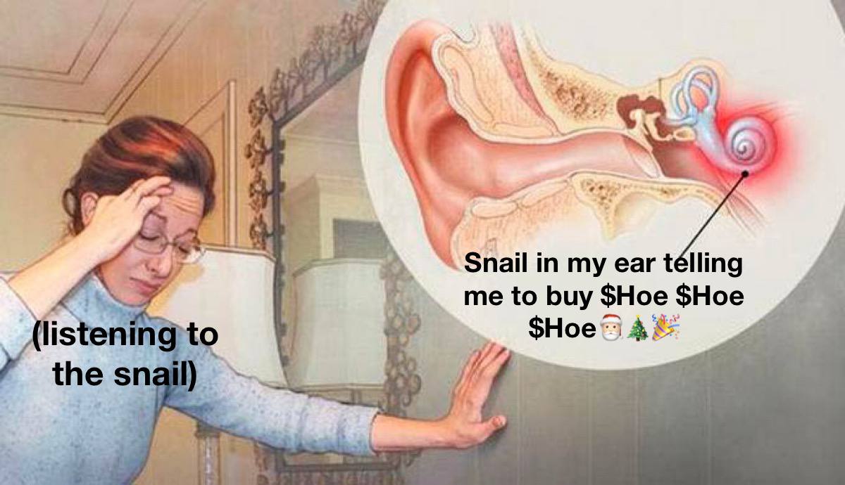 Hows everyone doing today?
Hopefully holding a $hoe
$hoe $hoe $hoe
#Crypto #MemeCoinRevolution #Christmasgifts