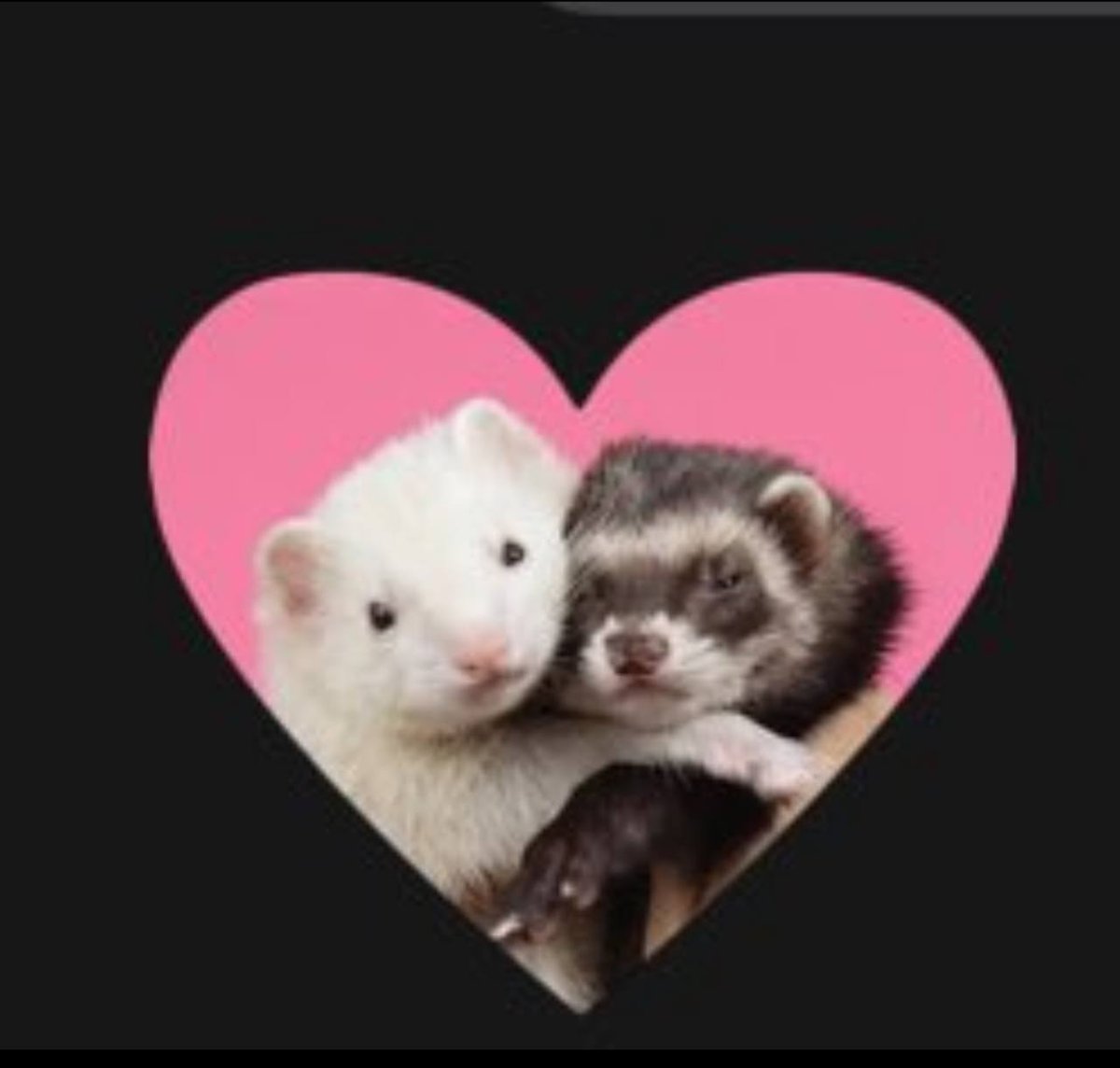 ann_cores's tweet image. Encuentra las diferencias. 🥺

#garime 
#GalaMontes 
#KarimePindter