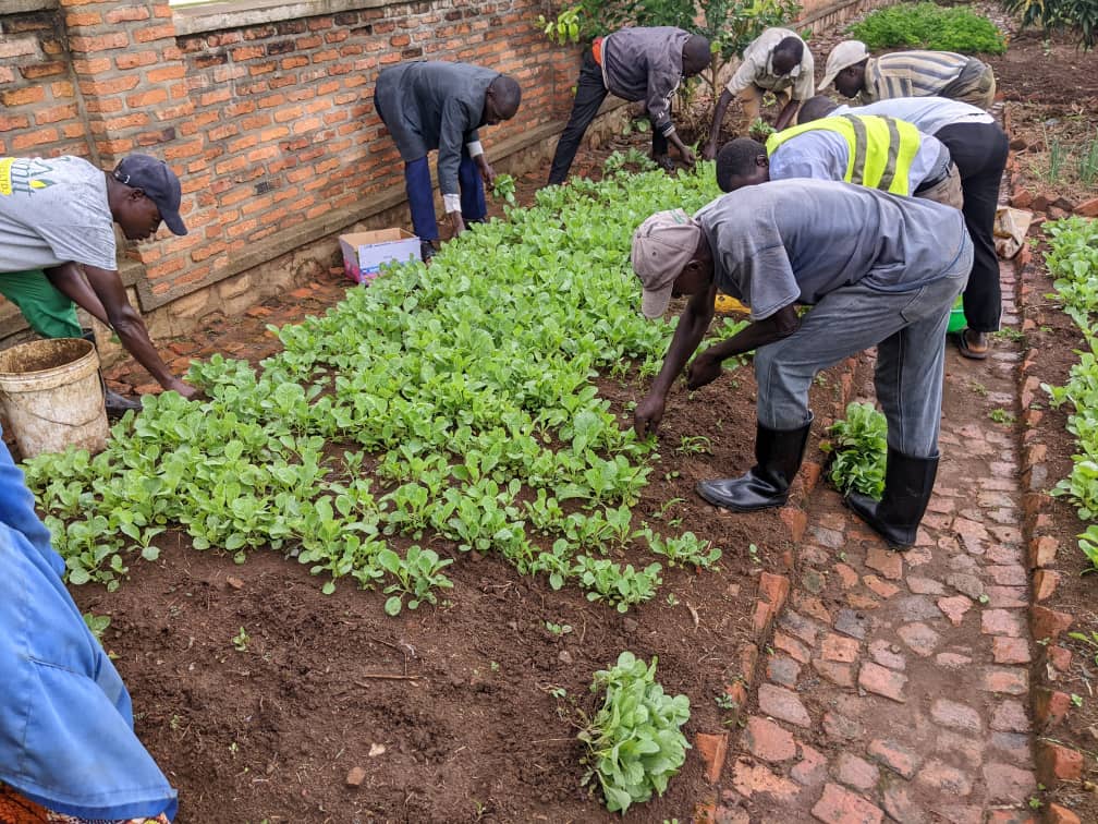 AGRAH CARE FARM SERVICE CENTER LtD tweet media