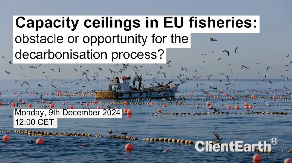 📼📽️ Watch video EN/ES/FR: Capacity Ceilings in EU fisheries – Barrier or Opportunity for Decarbonisation?  bit.ly/24web_eufish <a href="/LIFEplatformEU/">Low Impact Fishers of Europe</a> <a href="/RISEsweden/">RISE</a> <a href="/EuropecheOrg/">Europêche</a> <a href="/azti_brta/">AZTI</a> <a href="/BrianLIFE_EU/">Brian O'Riordan</a> @gorkagabina <a href="/ClientEarthEUR/">ClientEarth Europe</a>