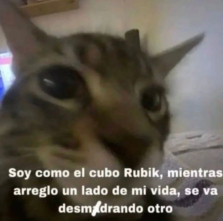 GatitoDepresion's tweet photo. https://t.co/DOGPmTjqk7